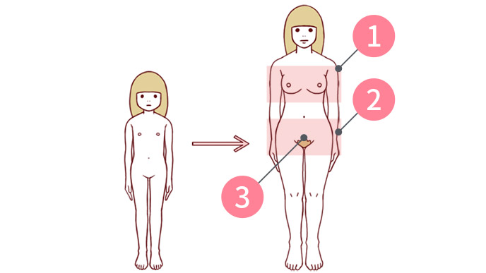 思春期になるとからだが大人に変化し、おりものや生理が始まります。