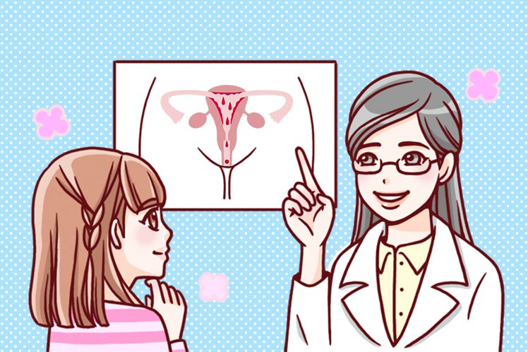 女性のからだの仕組み